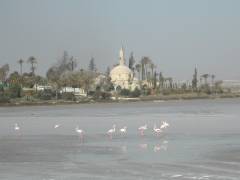 Tekke mosque